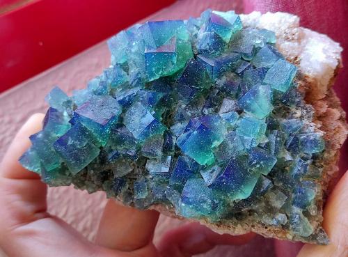 Fluorita<br />Rogerley Mine, Frosterley, Weardale, North Pennines Orefield, County Durham, England / United Kingdom<br />16 cm<br /> (Autor: Cesar M. Salvan)