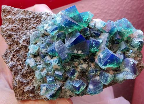 Fluorita<br />Rogerley Mine, Frosterley, Weardale, North Pennines Orefield, County Durham, England / United Kingdom<br />18 cm<br /> (Autor: Cesar M. Salvan)