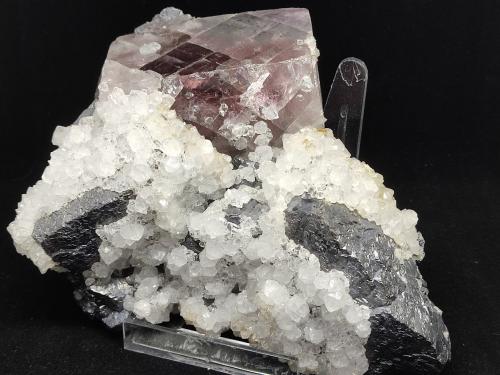 Fuorita y Galena<br />Blackdene Mine, Ireshopeburn, Weardale, North Pennines Orefield, County Durham, England / United Kingdom<br />Cristal fluorita 7.2 cm<br /> (Autor: Cesar M. Salvan)