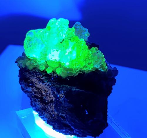 Ópalo (variedad hialita).<br />Hacienda Jaral de Berrio, San Felipe, Municipio San Felipe, Guanajuato, México<br />5x5 cm<br /> (Autor: AntonioJesus)