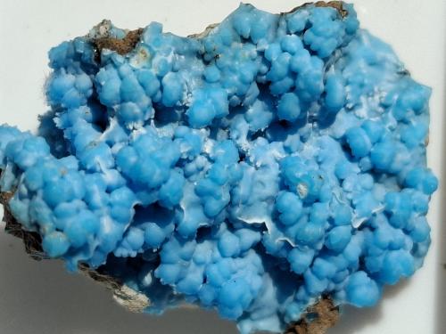 Gearksutite, Cupro-Allophane<br />Laochang ore field, Gejiu, Honghe Prefecture, Yunnan, China<br />2 x 1,5 cm<br /> (Author: Volkmar Stingl)
