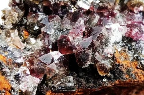 Adamita (variedad manganesífera)<br />Mina Ojuela, Mapimí, Municipio Mapimí, Durango, México<br />60x55x30 mm.<br /> (Autor: Luis Edmundo Sánchez Roja)