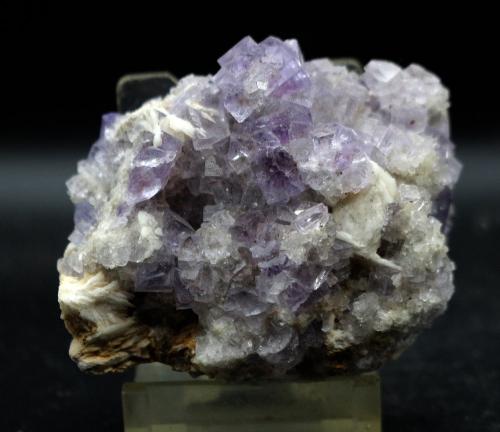 Fluorita<br />Cuetu L'Aspa, Berbes mining area, Berbes, Ribadesella, Comarca del Oriente, Principality of Asturias (Asturias), Spain<br />6.5 x 6 cm<br /> (Autor: Pedro Antonio)