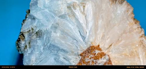 Celestina<br />Mina Quien Tal Pensara (Mina Rica), El Pilar de Jaravía, Pulpí, Comarca Levante Almeriense, Almería, Andalucía, España<br />7 x 7 x 4 cm.<br /> (Autor: Felipe Abolafia)