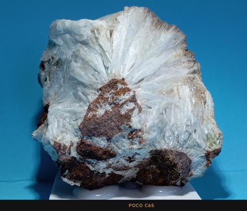 Celestina<br />Mina Quien Tal Pensara (Mina Rica), El Pilar de Jaravía, Pulpí, Comarca Levante Almeriense, Almería, Andalucía, España<br />7 x 7 x 4 cm.<br /> (Autor: Felipe Abolafia)