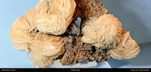 Barita<br />Mina María, Solana del Cabezo de Huércal, Sierra de Enmedio, Almendricos, Lorca, Comarca Alto Guadalentín, Región de Murcia (Murcia), España<br />7,5 x 7 cm.<br /> (Autor: Felipe Abolafia)