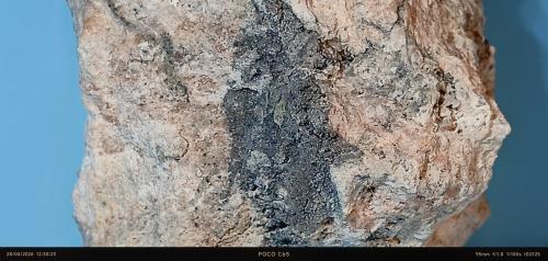 Clorargirita<br />Corta Santa Matilde, grupo minero Berja, Las Herrerías, Sierra Almagrera, Cuevas del Almanzora, Comarca Levante Almeriense, Almería, Andalucía, España<br />8 x 5 cm.<br /> (Autor: Felipe Abolafia)