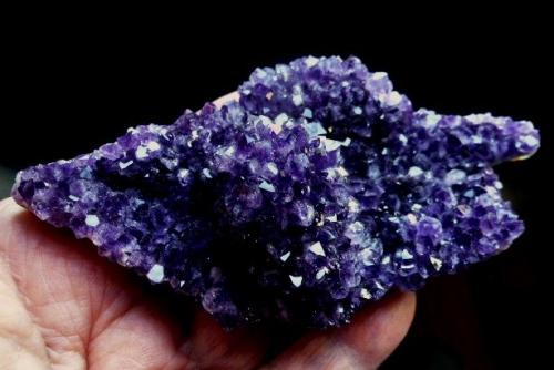 Cuarzo (variedad amatista)<br />Paraje Catalán Grande, Departamento Artigas, Uruguay<br />11 x 8 cm.<br /> (Autor: javier ruiz martin)