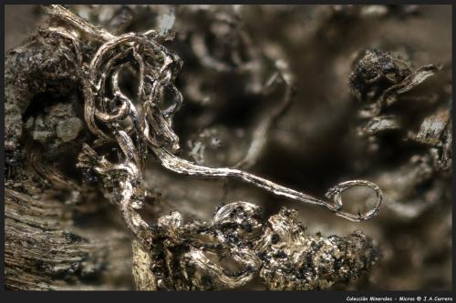 Plata<br />Batopilas, Distrito Andrés del Río, Municipio Batopilas, Chihuahua, México<br />FoV 1,2 x 0,8 mm<br /> (Autor: Jose Angel Carrero)