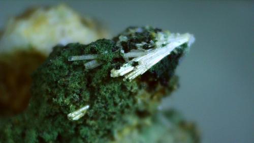 Milarite<br />Vezna, Zdar nad Sázàvou, Vysocina Region, Czech Republic<br />2 x 1 cm<br /> (Author: Volkmar Stingl)