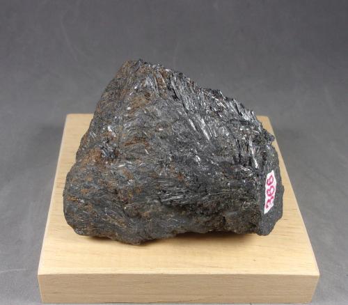 Cilindrita<br />Mina Trinacria, Callipampa, Provincia Poopó, Departamento Oruro, Bolivia<br />6,6 x 5,6 x 3 cm. Cristales más largos 30 milímetros.<br /> (Autor: J. G. Alcolea)