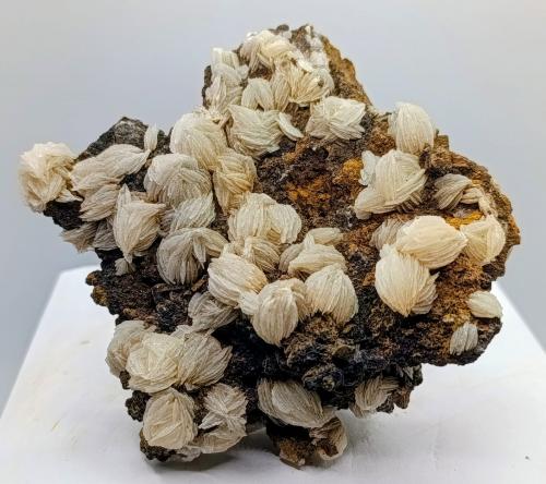 Barita.<br />San Pedro Mine, De Enmedio Range, Almendricos, Lorca, Comarca Alto Guadalentín, Region of Murcia (Murcia), Spain<br />10''5x11 cm<br /> (Autor: AntonioJesus)