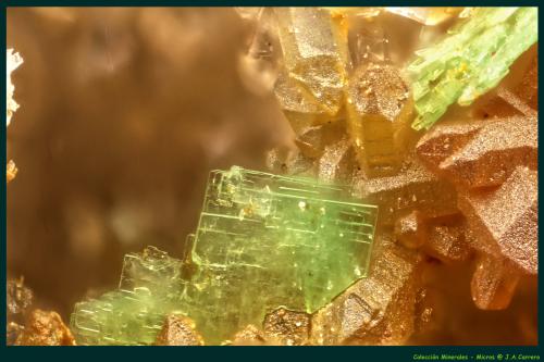 Heinrichita<br />Mina Gnade Gottes, Bocamina Alter Schmiedestollen, Wittichen, Schenkenzell, Rottweil, Selva Negra, Baden-Württemberg, Alemania<br />FoV: 1,5 x 1 mm<br /> (Autor: Jose Angel Carrero)
