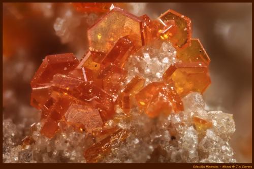 Vanadinita<br />Mibladen (Mibladen mining district), Midelt, Midelt Province, Drâa-Tafilalet Region, Morocco<br />FoV: 3 x 2 mm<br /> (Autor: Jose Angel Carrero)