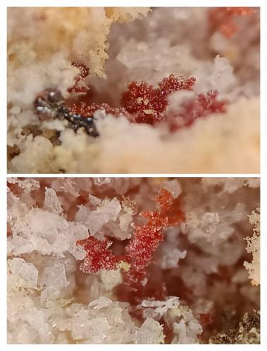 Kremersite<br />Faraglioni Ranni, Vulcano Island, Eolie Islands, Lípari Municipality, Messina Province, Sicily, Italy<br />3x1 mm<br /> (Author: mineralenzo)