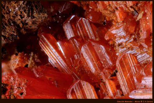 Crocoita<br />Mina Red Lead, Campo minero Dundas, Distrito Zeehan, Consejo Costa Oeste, Tasmania, Australia<br />FoV: 4 x 3 mm<br /> (Autor: Jose Angel Carrero)
