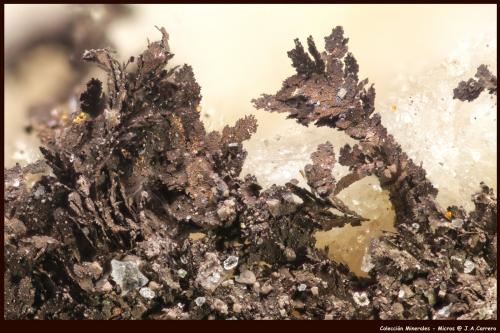 Plata (variedad kongsbergita)<br />Corta Santa Matilde, grupo minero Berja, Las Herrerías, Sierra Almagrera, Cuevas del Almanzora, Comarca Levante Almeriense, Almería, Andalucía, España<br />FoV: 1,8 x 1,2 mm<br /> (Autor: Jose Angel Carrero)