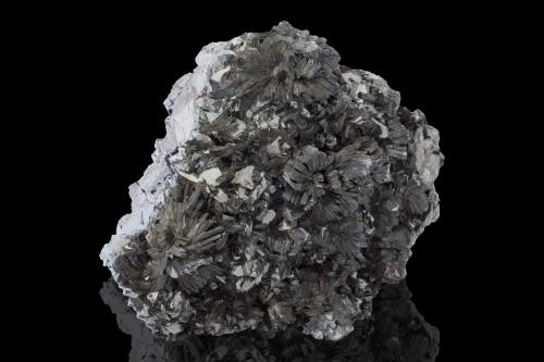 Semseyite on Galena<br />Mina Herja, Chiuzbaia, Baia Sprie, Maramures, Rumanía<br />9 x 7.5 x 5 cm / main crystal: 1 cm<br /> (Author: MIM Museum)