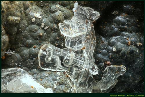 Hemimorfita<br />Mina Precaución, Cabezo de San Ginés, El Estrecho de San Ginés, Cartagena, Comarca Campo de Cartagena, Región de Murcia (Murcia), España<br />FoV: 1,5 x 0,9 mm<br /> (Autor: Jose Angel Carrero)