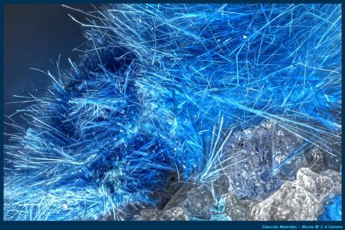 Cianotriquita<br />Qinglong Mine, Dachang, Qinglong, Qianxi'nan Autonomous Prefecture, Guizhou Province, China<br />FoV: 2,5 x 1,6 mm<br /> (Autor: Jose Angel Carrero)