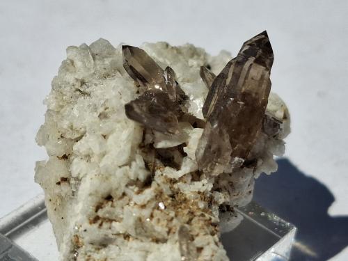 Quartz (variety smokey Quartz), Orthoclase (variety Adularia)<br />Untersulzbach Valley/Untersulzbachtal, Zell am See District, Salzburg, Austria<br />4 x 2,5 cm<br /> (Author: Volkmar Stingl)
