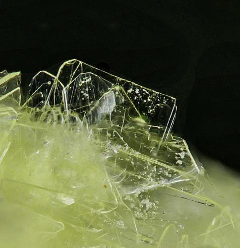 Carlhintzeite<br /><br />main crystal size: 0.3 × 0.1 cm<br /> (Author: Jordi Fabre)
