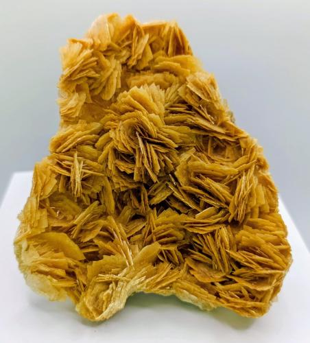Barita.<br />Obdulia Mine, El Laberinto, Sierra Minera de Cartagena-La Unión, Portmán, La Unión, Comarca Campo de Cartagena, Region of Murcia (Murcia), Spain<br />11x9 cm.<br /> (Autor: AntonioJesus)