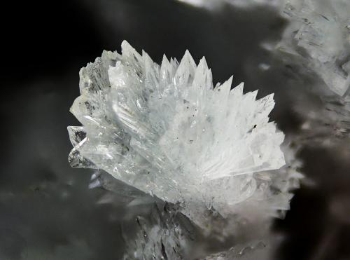 Gearksutita<br />Zona minera Dachang, Qinglong, Prefectura Autónoma Qianxi'nan, Provincia Guizhou, China<br />cristal principal: 0.1 × 0.1 cm<br /> (Autor: Jordi Fabre)