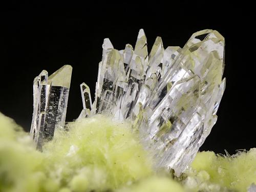 Creedita en Carlhintzeita<br />Zona minera Dachang, Qinglong, Prefectura Autónoma Qianxi'nan, Provincia Guizhou, China<br />cristal principal: 0.3 × 0.2 cm<br /> (Autor: Jordi Fabre)
