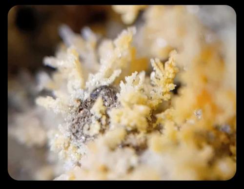 Steropesite<br />Cráter La Fossa, Isla Vulcano, Islas Eolias, Lípari, Provincia Messina, Sicilia, Italia<br />0.5-1 mm<br /> (Author: mineralenzo)