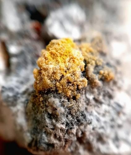 Steropesite<br />Cráter La Fossa, Isla Vulcano, Islas Eolias, Lípari, Provincia Messina, Sicilia, Italia<br />1-2 mm<br /> (Author: mineralenzo)
