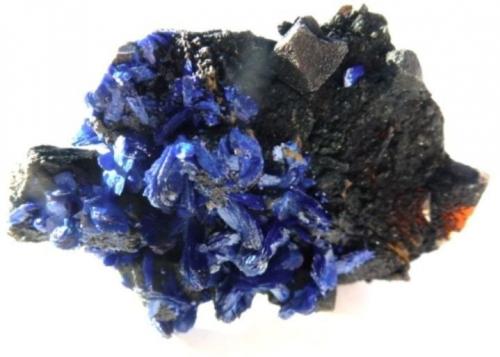 Cuarzo (variedad cristal de roca), Azurita<br />Zona minera Tazalarht, Provincia Taroudant, Region Souss-Massa, Marruecos<br />4 x 3 cm.<br /> (Autor: javier ruiz martin)