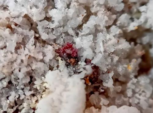 Kremersite<br />La Fossa crater, Vulcano Island, Eolie Islands, Lípari Municipality, Messina Province, Sicily, Italy<br /><br /> (Author: mineralenzo)