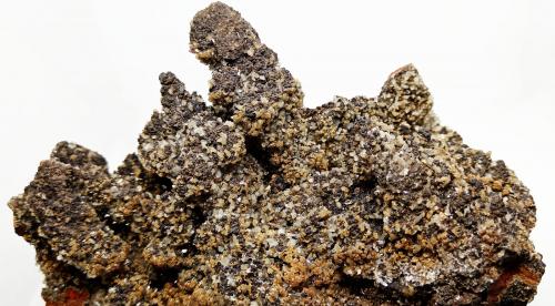 Arsendescloizita<br />Erupción Mine (Ahumada Mine), Los Lamentos Mountain Range, Municipio Ahumada, Chihuahua, Mexico<br />130x115x80 mm.<br /> (Autor: Luis Edmundo Sánchez Roja)