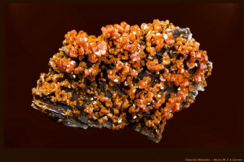 Vanadinita<br />ACF Mine, Mibladen mining district, Mibladen, Midelt, Midelt Province, Drâa-Tafilalet Region, Morocco<br />10 x 7 x 3 cm<br /> (Autor: Jose Angel Carrero)