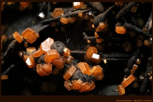 Vanadinita<br />ACF Mine, Mibladen mining district, Mibladen, Midelt, Midelt Province, Drâa-Tafilalet Region, Morocco<br />FoV: 3 x 2 mm<br /> (Autor: Jose Angel Carrero)