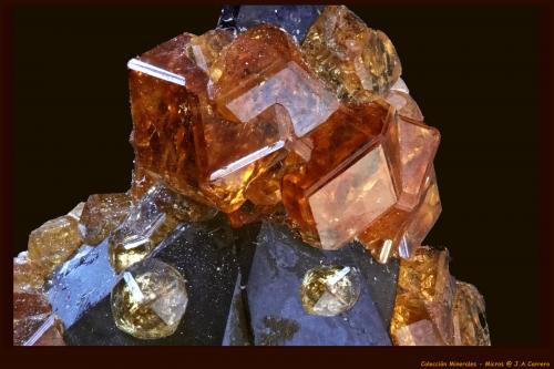 Spessartina<br />Tongbei, Yunxiao, Zhangzhou Prefecture, Fujian Province, China<br />FoV: 4 x 3 mm<br /> (Autor: Jose Angel Carrero)