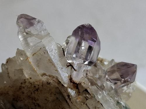 Quartz (variety Amethyst)<br />Saurüssel, Mörchner area, Zemmgrund, Ziller Valley (Zillertal), North Tyrol, Tyrol/Tirol, Austria<br />2 x 1,5 cm<br /> (Author: Volkmar Stingl)