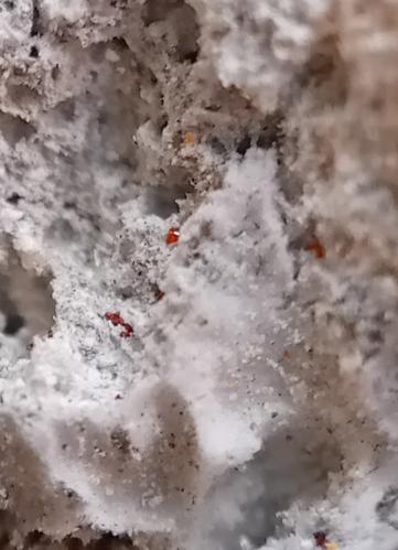 Bismoclite<br />Cráter La Fossa, Isla Vulcano, Islas Eolias, Municipio Lípari, Provincia Messina, Sicilia, Italia<br />0.1-0.4 mm<br /> (Author: mineralenzo)