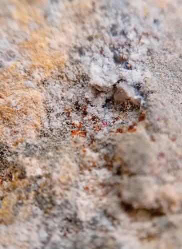 Bismoclite<br />Cráter La Fossa, Isla Vulcano, Islas Eolias, Municipio Lípari, Provincia Messina, Sicilia, Italia<br />0.1-05 mm<br /> (Author: mineralenzo)