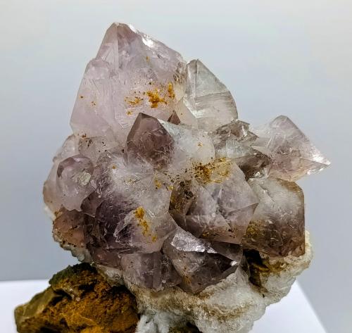 Cuarzo (variedad amatista).<br />Catón Mine, (Grupo Minero Los Pajaritos), Los Pajaritos-Cabezo de Don Juan Ravine, Llano del Beal, Cartagena, Comarca Campo de Cartagena, Region of Murcia (Murcia), Spain<br />11x9''5 cm.<br /> (Autor: AntonioJesus)