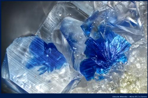 Kinoita Fluorapofilita-(K)<br />Mina Christmas, Christmas, Distrito Banner, Montes Dripping Spring, Condado Gila, Arizona, USA<br />FoV: 3 x 2 mm<br /> (Autor: Jose Angel Carrero)