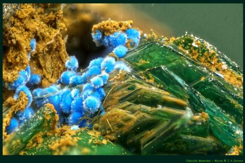 Cianotriquita Calcofilita<br />Salsigne Mine, Salsigne, Mas-Cabardès, Carcassonne, Aude, Occitanie, France<br />FoV: 2 x 1,3 mm<br /> (Autor: Jose Angel Carrero)