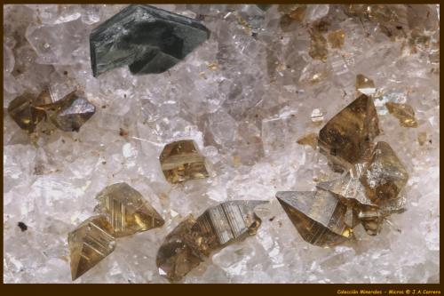 Anatasa, Clinocloro<br />Formazza Valley, Ossola Valley, Verbano-Cusio-Ossola Province, Piedmont (Piemonte), Italy<br />2 x 1,2 mm<br /> (Autor: Jose Angel Carrero)