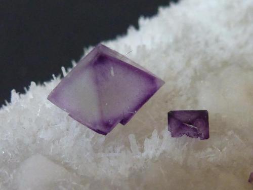 Fluorita, Cuarzo<br />Mina De'an, Wushan, De'an, Prefectura Jiujiang, Provincia Jiangxi, China<br />12 x 7 cm. la pieza, 0,6 x 0,6 el cristal<br /> (Autor: javier ruiz martin)