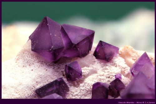 Fluorita<br />Mina De'an, Wushan, De'an, Prefectura Jiujiang, Provincia Jiangxi, China<br />FoV: 30 x 20 mm<br /> (Autor: Jose Angel Carrero)