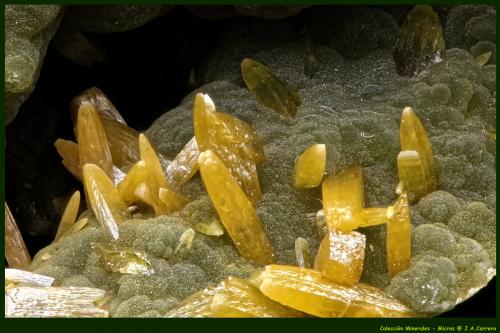 Wulfenita Mimetita<br />Mina Ojuela, Mapimí, Municipio Mapimí, Durango, México<br />FoV: 2,5 x 1,7 mm<br /> (Autor: Jose Angel Carrero)