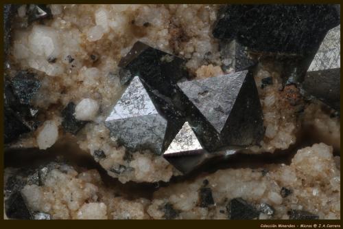Magnetita<br />Cerro Huañaquino, Paco Grande, Tomás Frías Province, Potosí Department, Bolivia<br />FoV: 2,5 x 1,8 mm<br /> (Autor: Jose Angel Carrero)