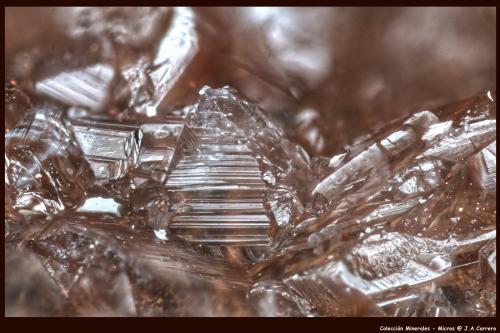 Tarbuttita<br />Mina Kabwe (Mina Broken Hill), Kabwe (Kabwe-Ka Mukuba), Distrito Kabwe, Provincia Central, Zambia<br />FoV: 2 x 1,3 mm<br /> (Autor: Jose Angel Carrero)