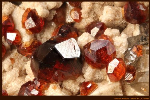 Spessartina<br />Catas Spessartina Wushan, Tongbei, Yunxiao, Prefectura Zhangzhou, Provincia Fujian, China<br />FoV: 2,5 x 1,7 mm<br /> (Autor: Jose Angel Carrero)